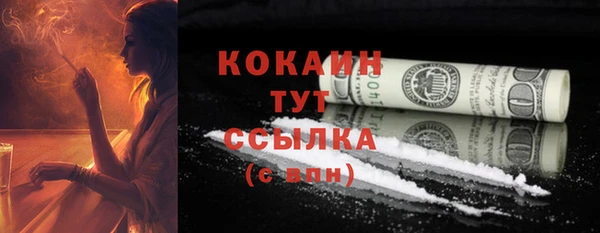 стафф Ладушкин