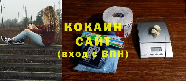стафф Ладушкин