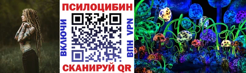 Галлюциногенные грибы Psilocybine cubensis  Купить закладки  Иркутск 